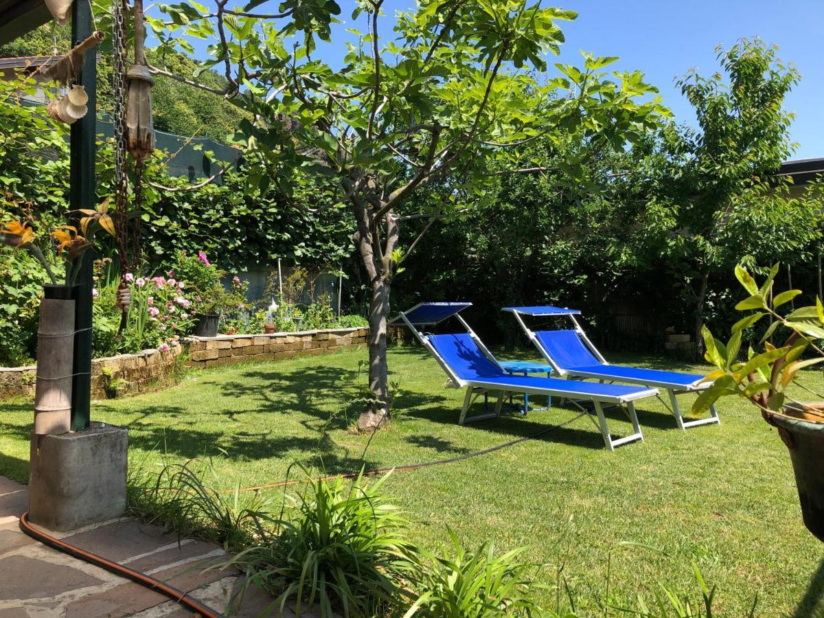 Clua Holiday House Porto Ceresio Eksteriør billede